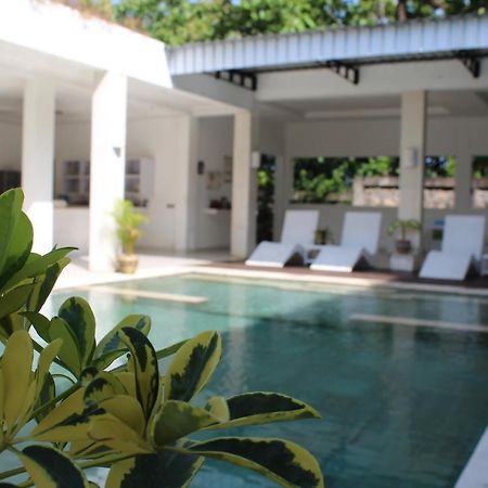 Villa Putih Lovina Exteriér fotografie