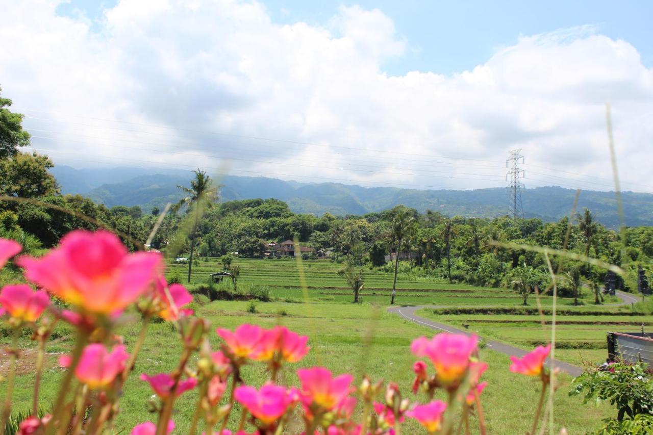Villa Putih Lovina Exteriér fotografie