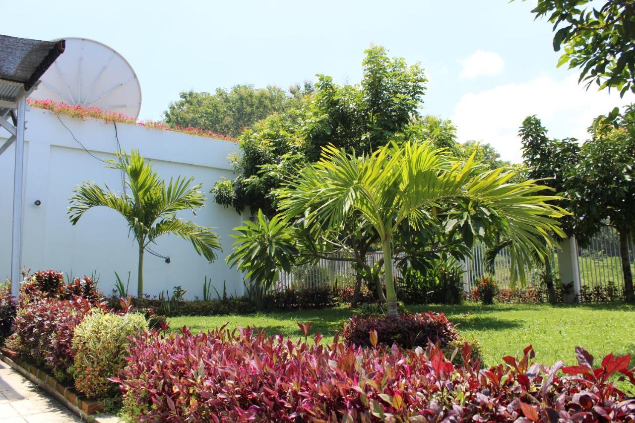 Villa Putih Lovina Exteriér fotografie
